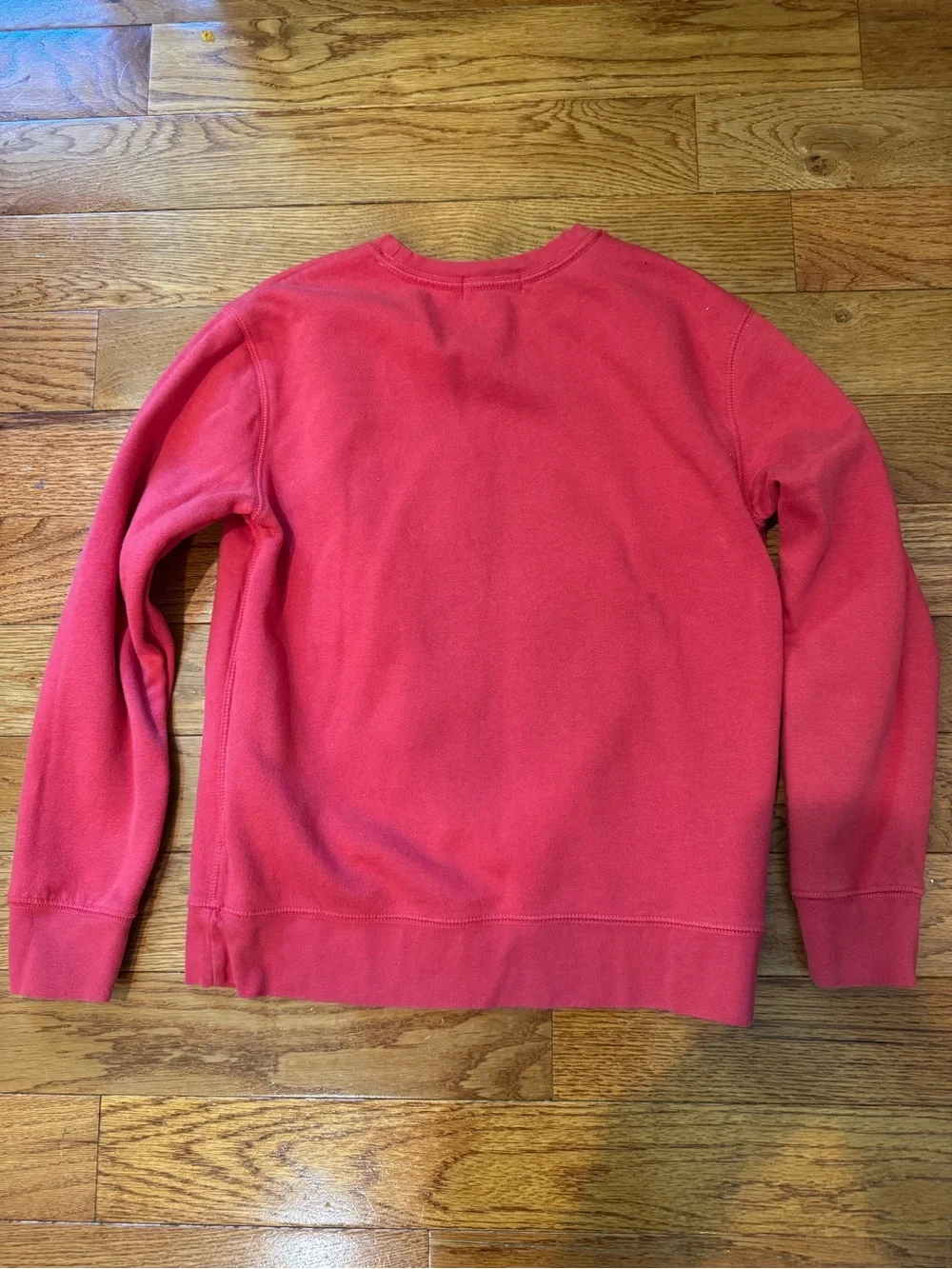 POLO Ralph Lauren Red Polo Bear Windsurfing Crewneck Sweatshirt